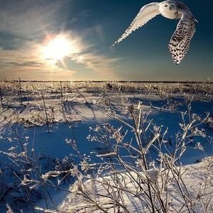 Meet your Posher, Rick